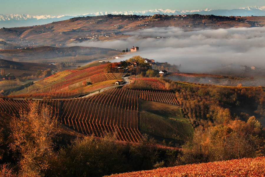 Piemonte-Langhe&Monferrato in Autumn